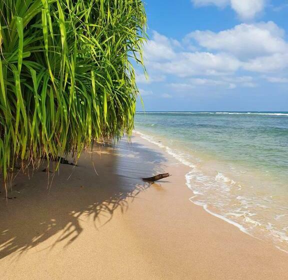 Отель 108 Palms Beach Resort