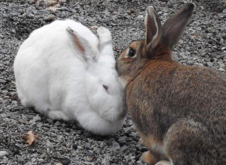 Отель Agriturismo Agri Armonia