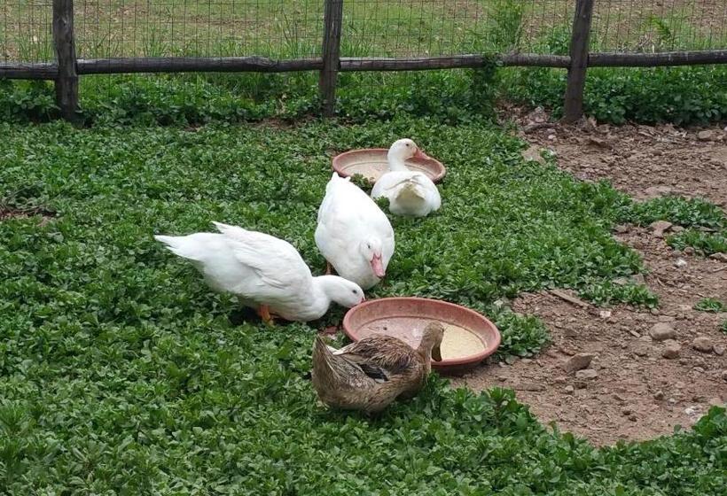 Отель Agriturismo Agri Armonia