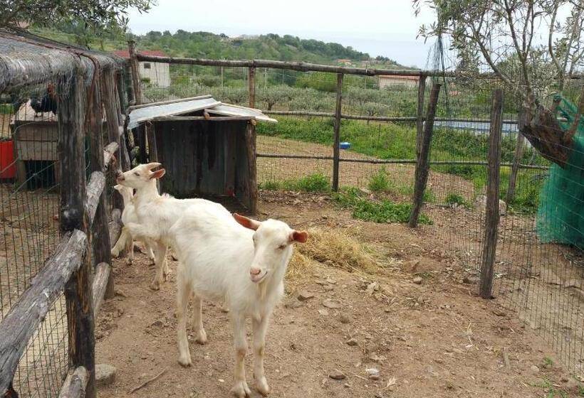 Отель Agriturismo Agri Armonia