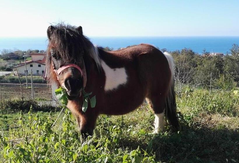 Отель Agriturismo Agri Armonia