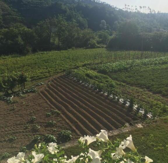 בית מלון כפרי Agriturismo La Ferriera
