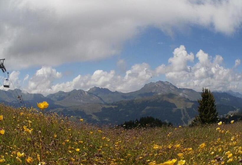 호텔 Altitude Lodge