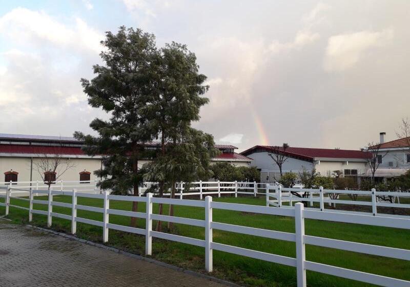 هتل B. Equine Range