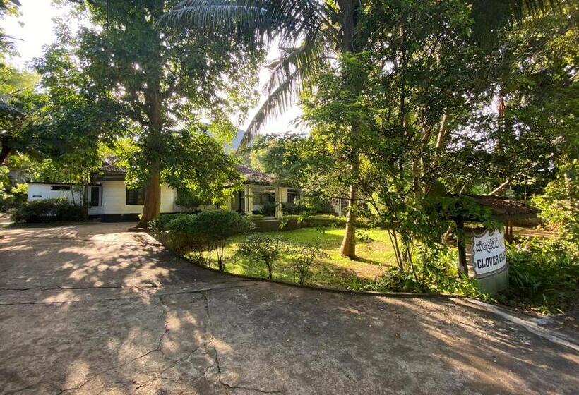 فندق Clover Grange Home Stay