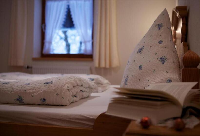 Отель Dandl Hof