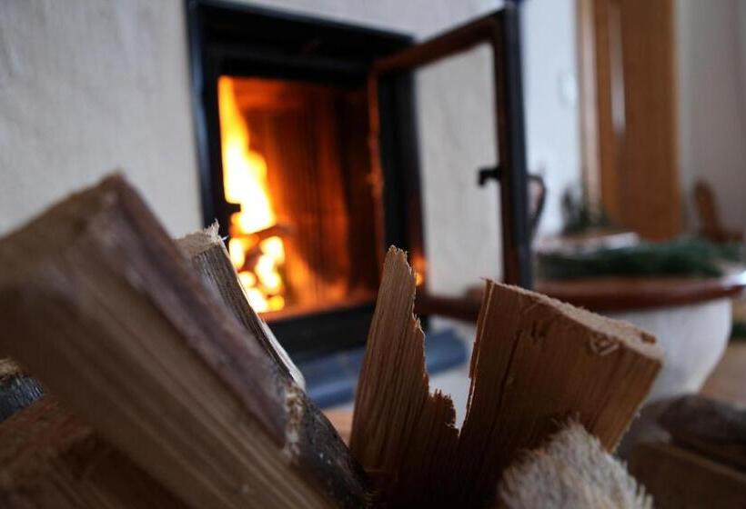 Отель Dandl Hof