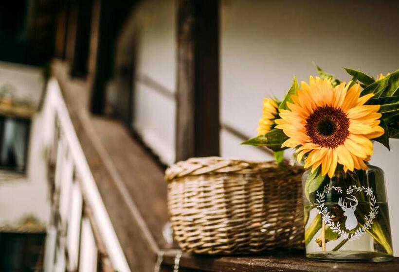 Отель Dandl Hof