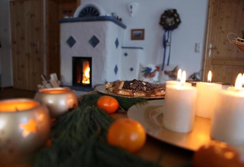 Отель Dandl Hof