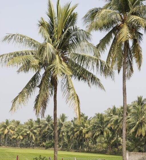 فندق Somisetty Landmark