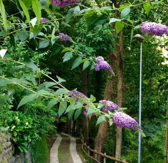 بنسيون Affittacamere La Quiete