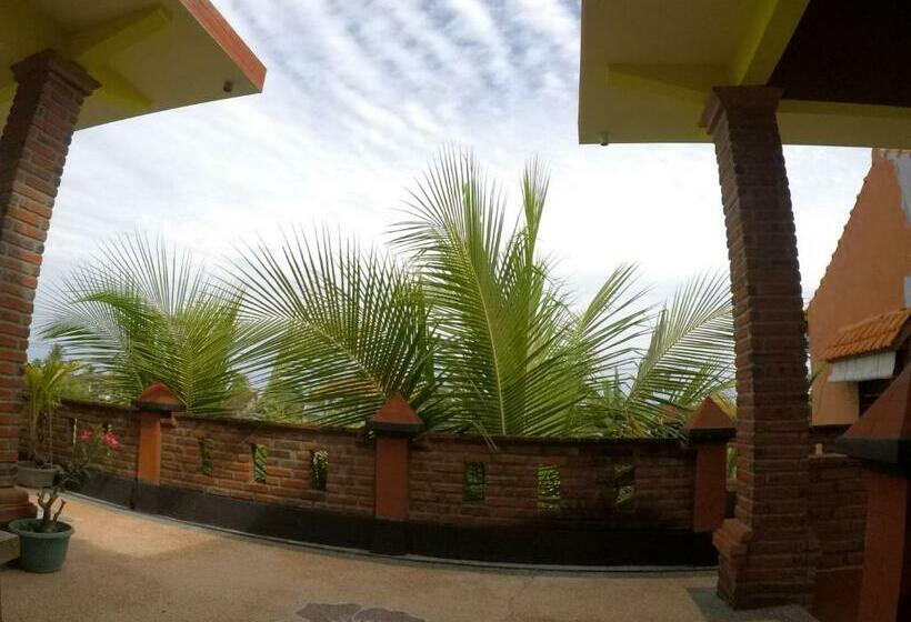 פנסיון Bottelmania