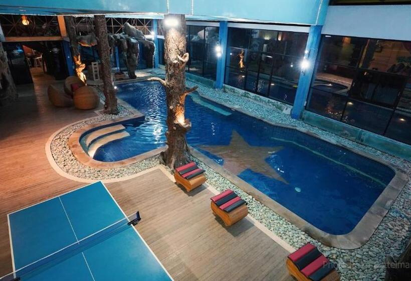 פנסיון Bottelmania