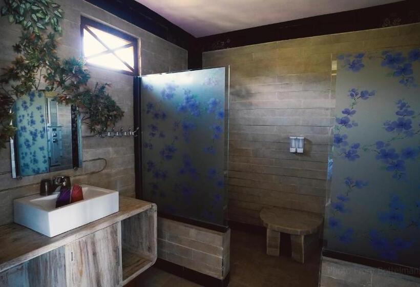 פנסיון Bottelmania