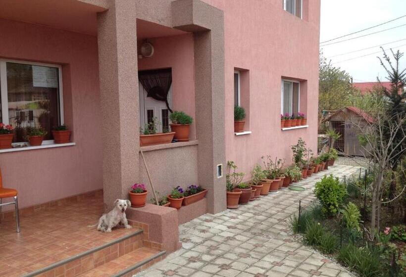 膳宿费 Casa Mario