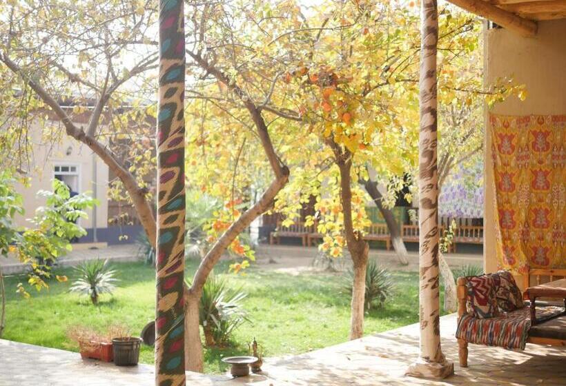 بنسيون Guest House Ikathouse