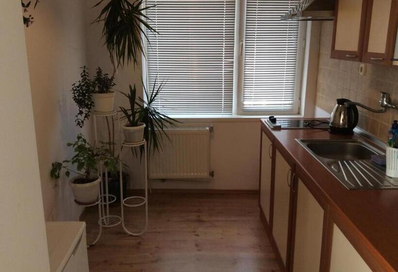 ペンション Guest House Simona