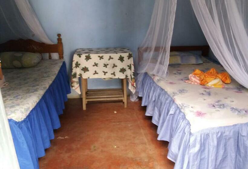 פנסיון Hostal La Gloria