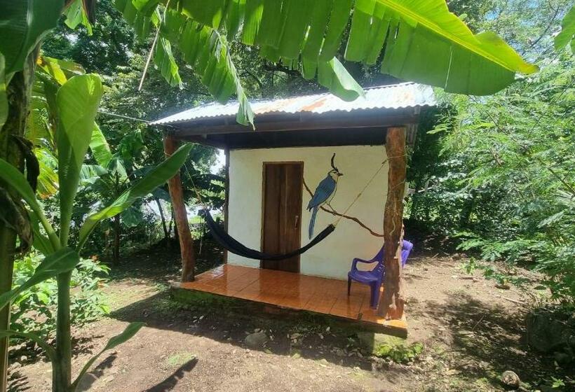 פנסיון Hostal La Gloria