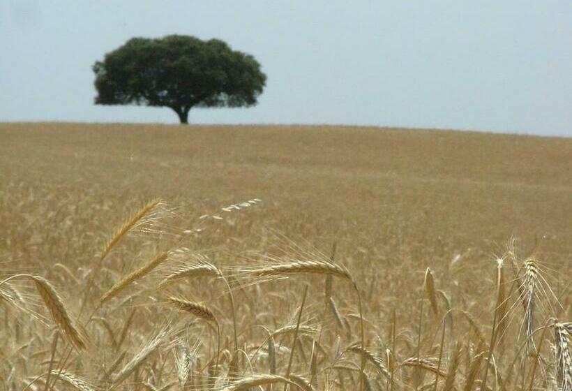 Пансион Hospedaria A Italiana