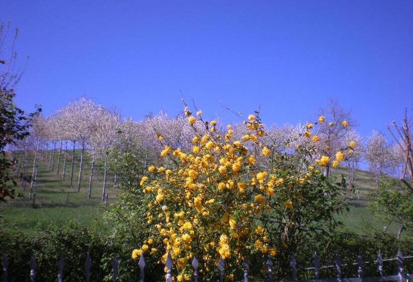 Пансион Il Castellare