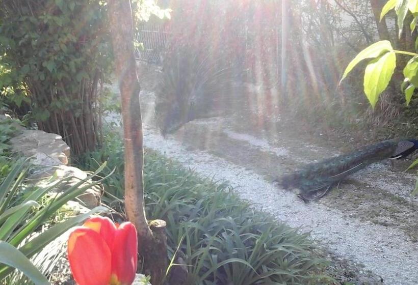 Пансион Il Castellare