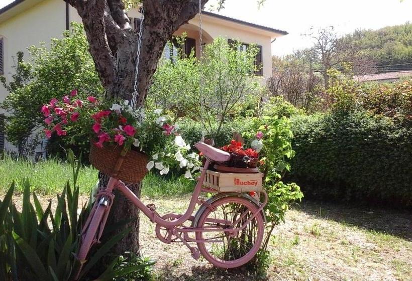 Пансион Il Castellare