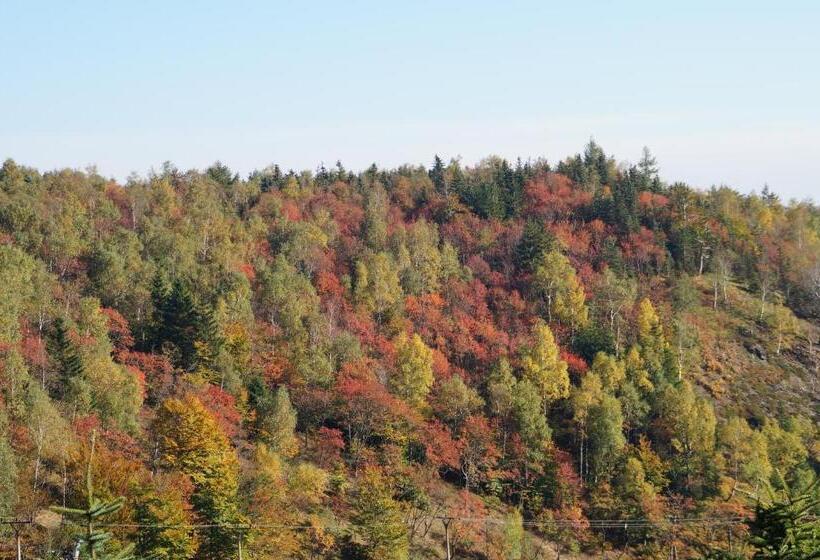 بنسيون Klügelhütte