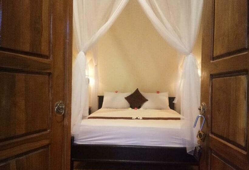 פנסיון Molleh Guest House