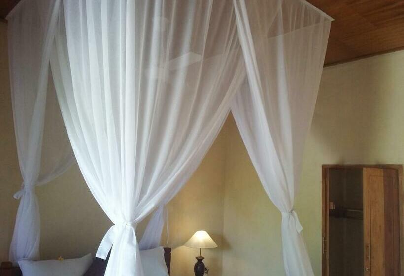 פנסיון Molleh Guest House