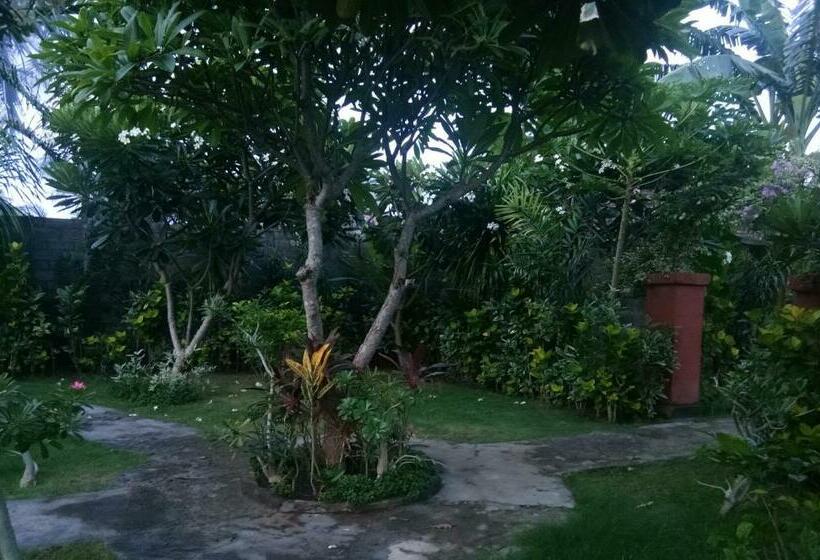 פנסיון Molleh Guest House