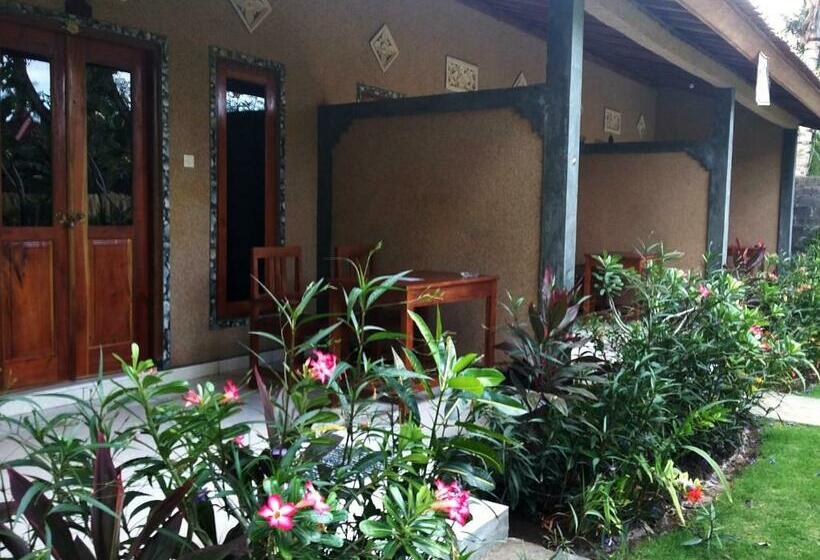 פנסיון Molleh Guest House