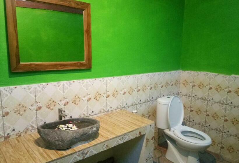 פנסיון Molleh Guest House