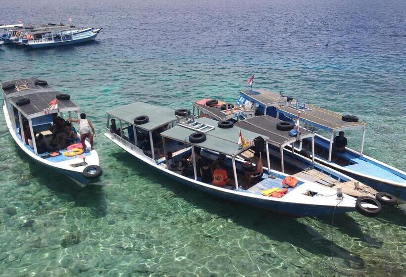 פנסיון Molleh Guest House