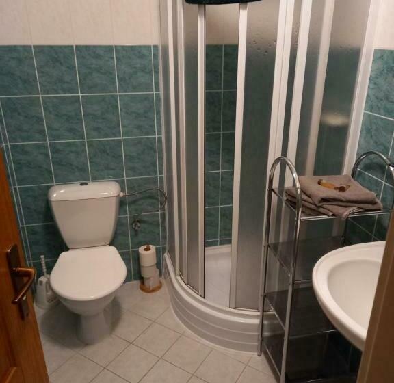 بنسيون Nové údolí