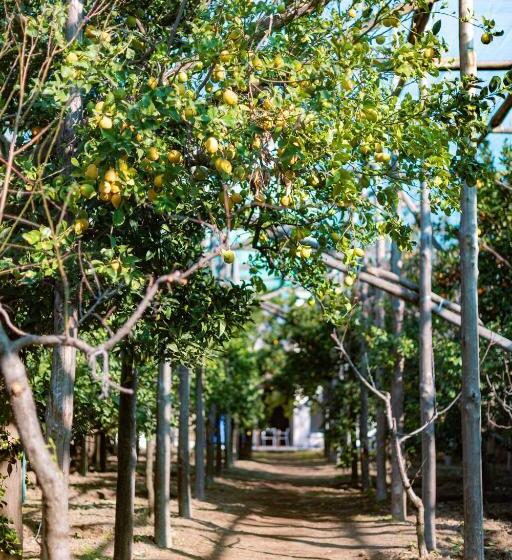 膳宿费 Pane E Marmellata