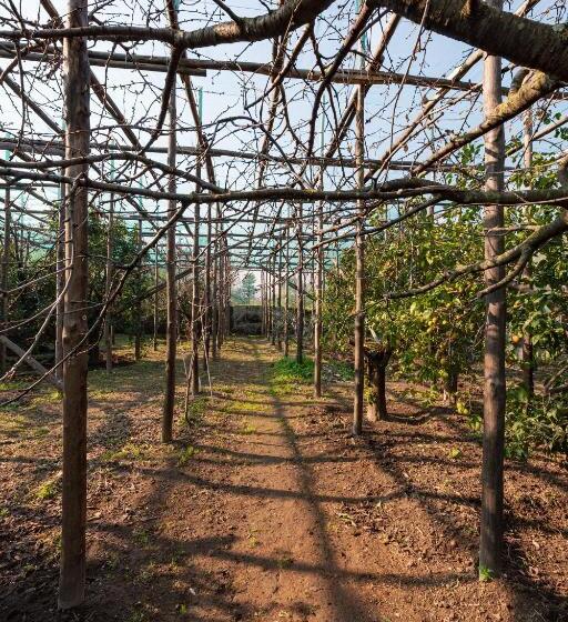 פנסיון Pane E Marmellata