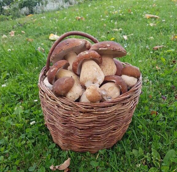 Пансион Penzion Relax