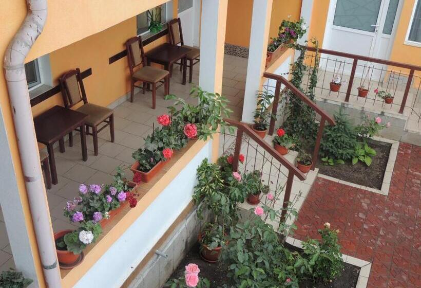 Pensiunea Iulia Sulina