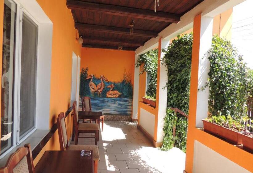 Pensiunea Iulia Sulina