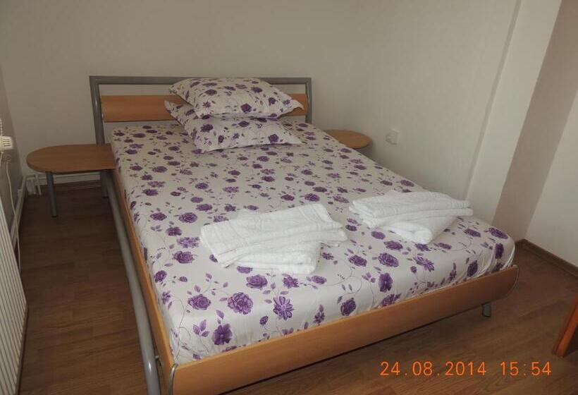 Pensiunea Iulia Sulina