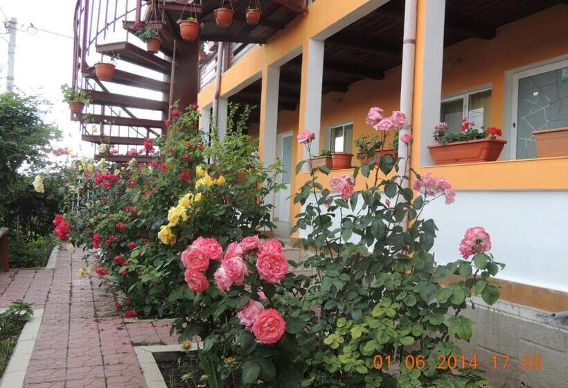 Pensiunea Iulia Sulina