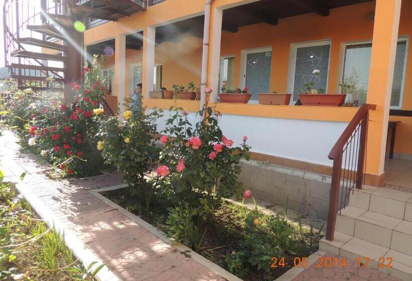 Pensiunea Iulia Sulina