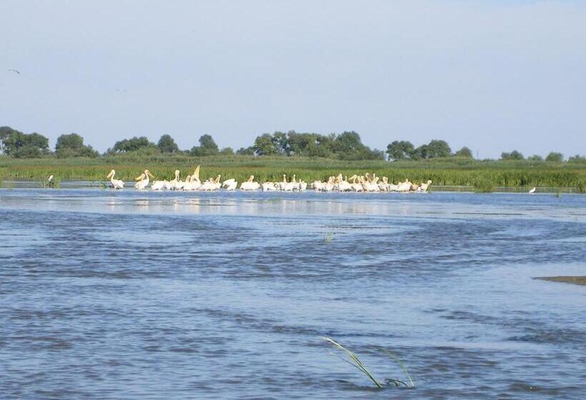 Pensiunea Iulia Sulina