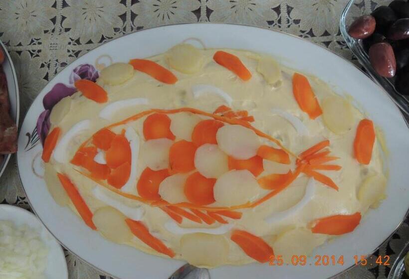 Pensiunea Iulia Sulina