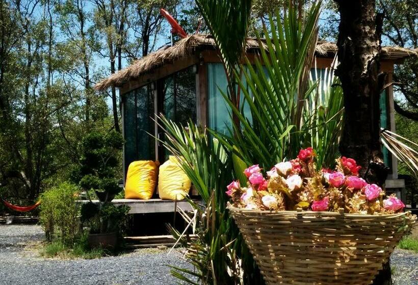 Resort Calm At Bangphat