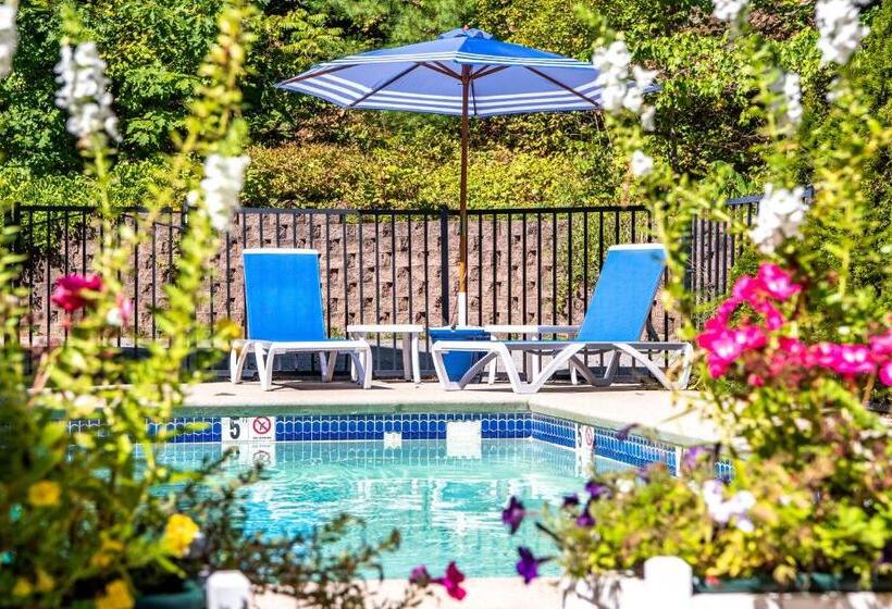 Отель Admiral S Inn Resort