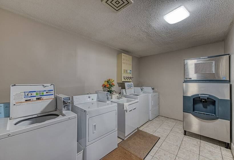 호텔 American Inn And Suites Dundee