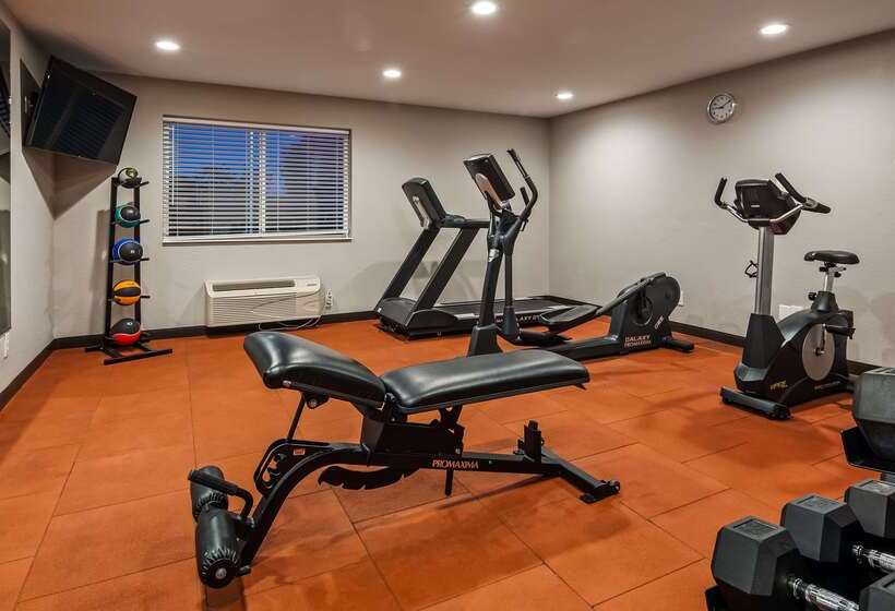 فندق Best Western Dewitt