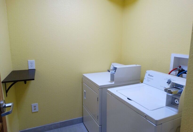 فندق Best Western Dewitt